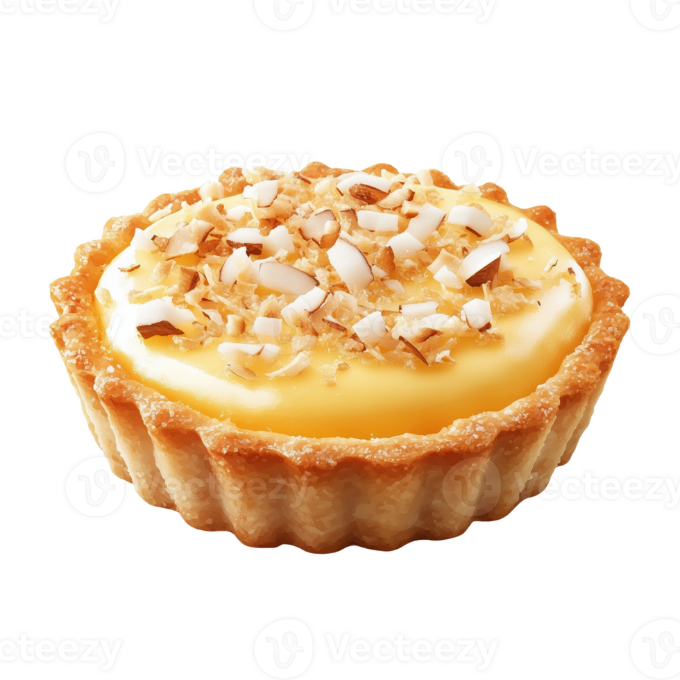 Delicious coconut tart dessert in a pastry shell with toasted coconut topping png
