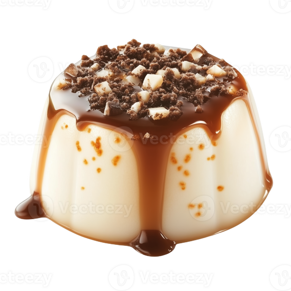 Delicious Estonian kama dessert with caramel topping and chocolate bits png