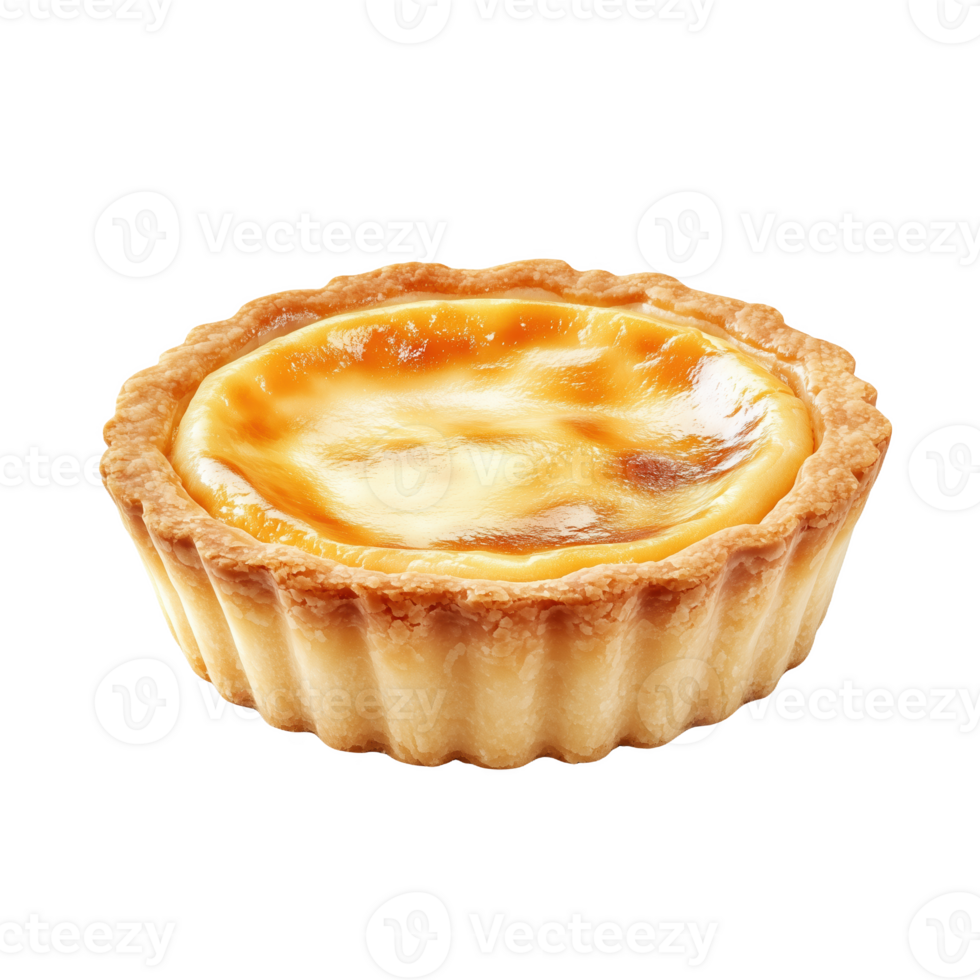 Delicious isolated South African milk tart with a golden crust and creamy filling png