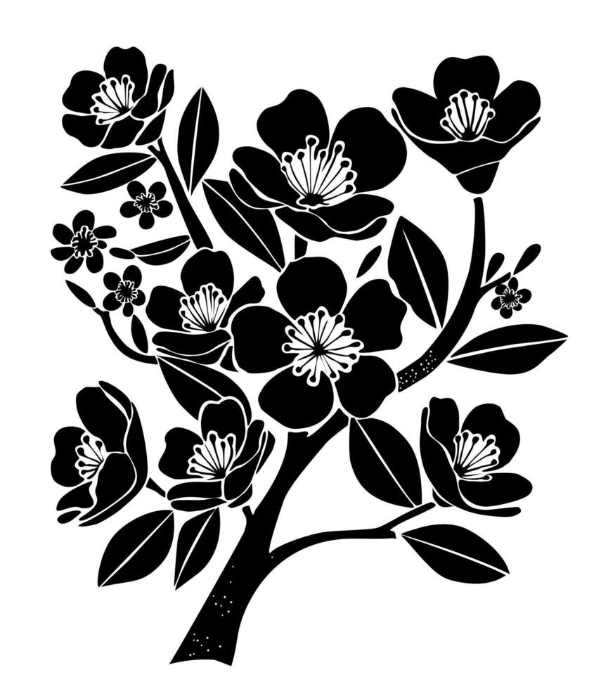 Cherry Blossom Branch in Bloom Black Silhouette. vector