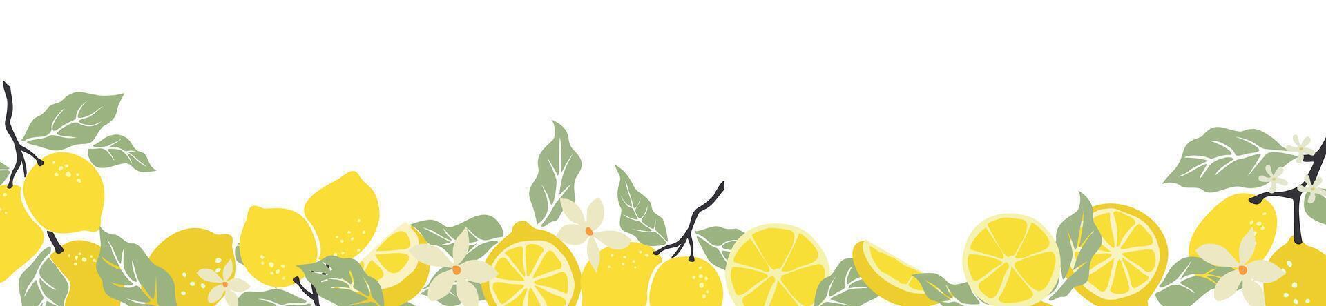 Colorful summer border with fresh lemon fruits vector