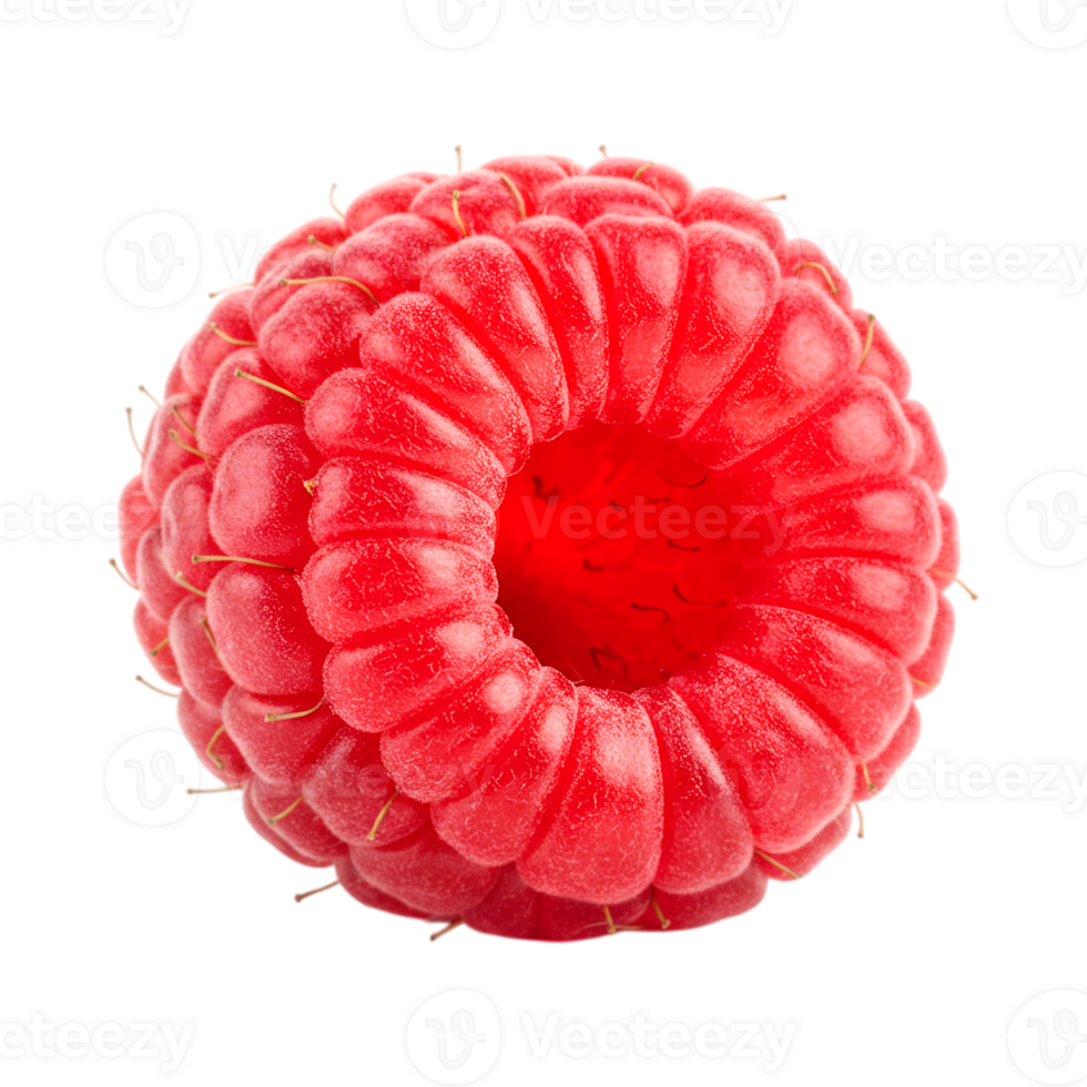 Close-up of a fresh and juicy raspberry with a transparent background, showcasing its vibrant color and intricate texture against emptiness png