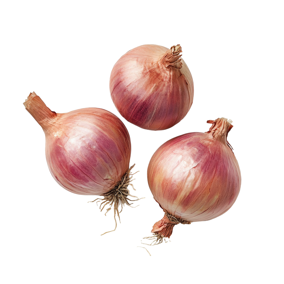 Shallots arranged on a Transparent background showcasing their unique shape and color, Onions shallots isolated, isolated on background png