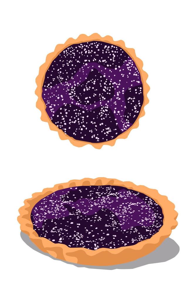 Delicious Pie with Blueberry Jam top view side view with white spot vector