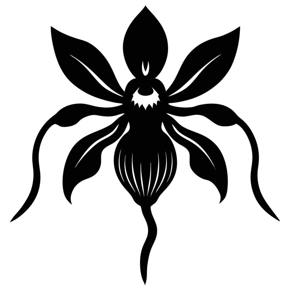 Silhouette of a Ghost Orchid. vector