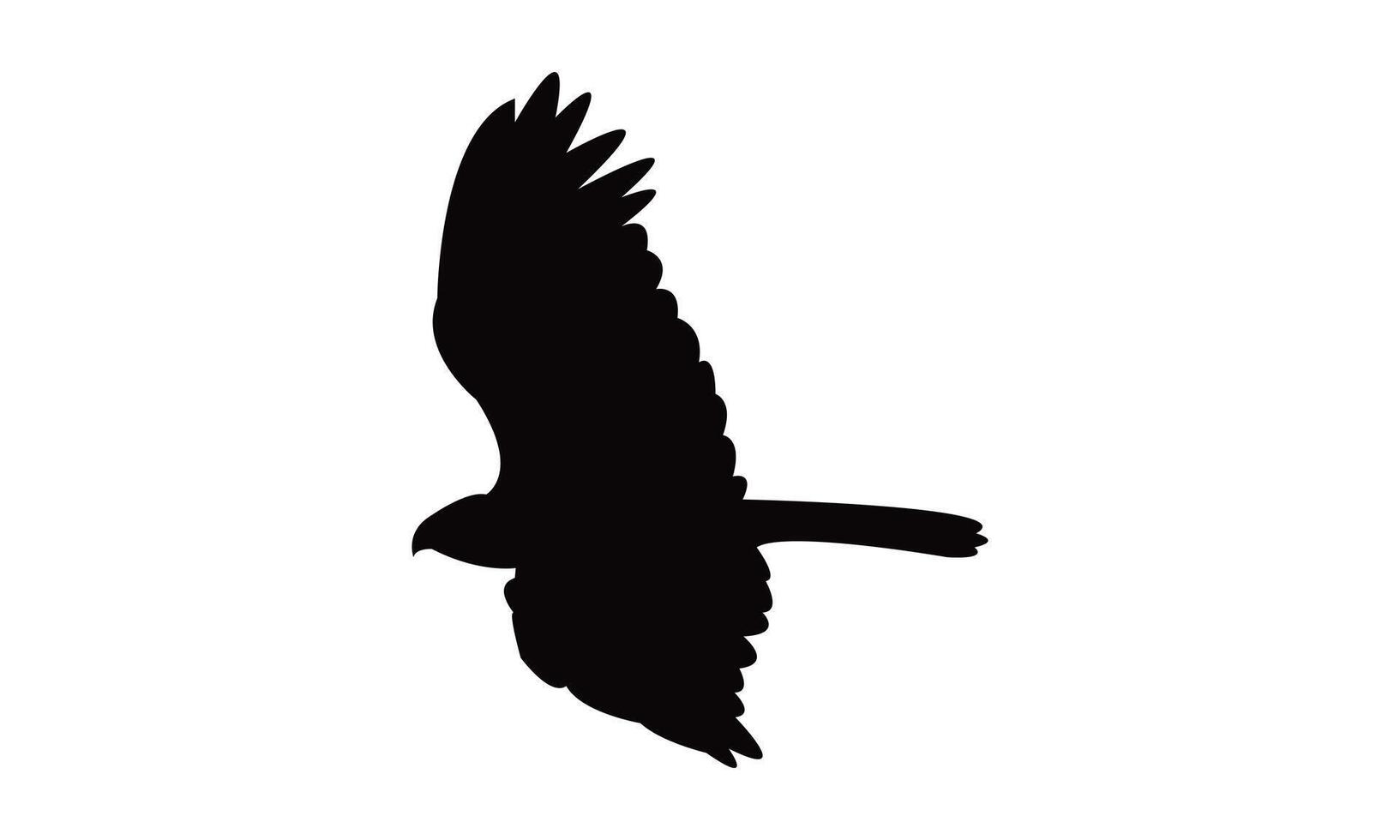 Flying African marsh harrier bird Silhouette Design And Illustration. vector