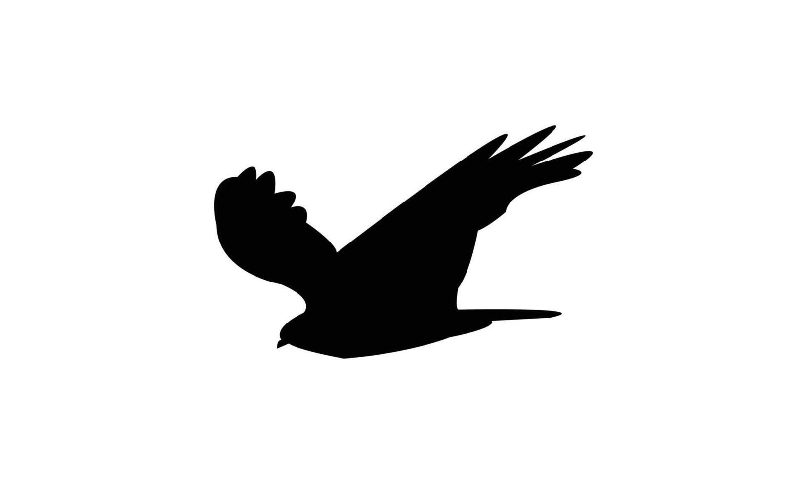 Flying African marsh harrier black Silhouette Design And Illustration. vector