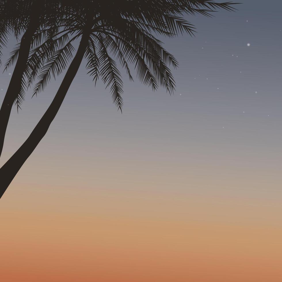 Silhouette palm trees with sunset sky with north star square background graphic illustration have blank space. vector