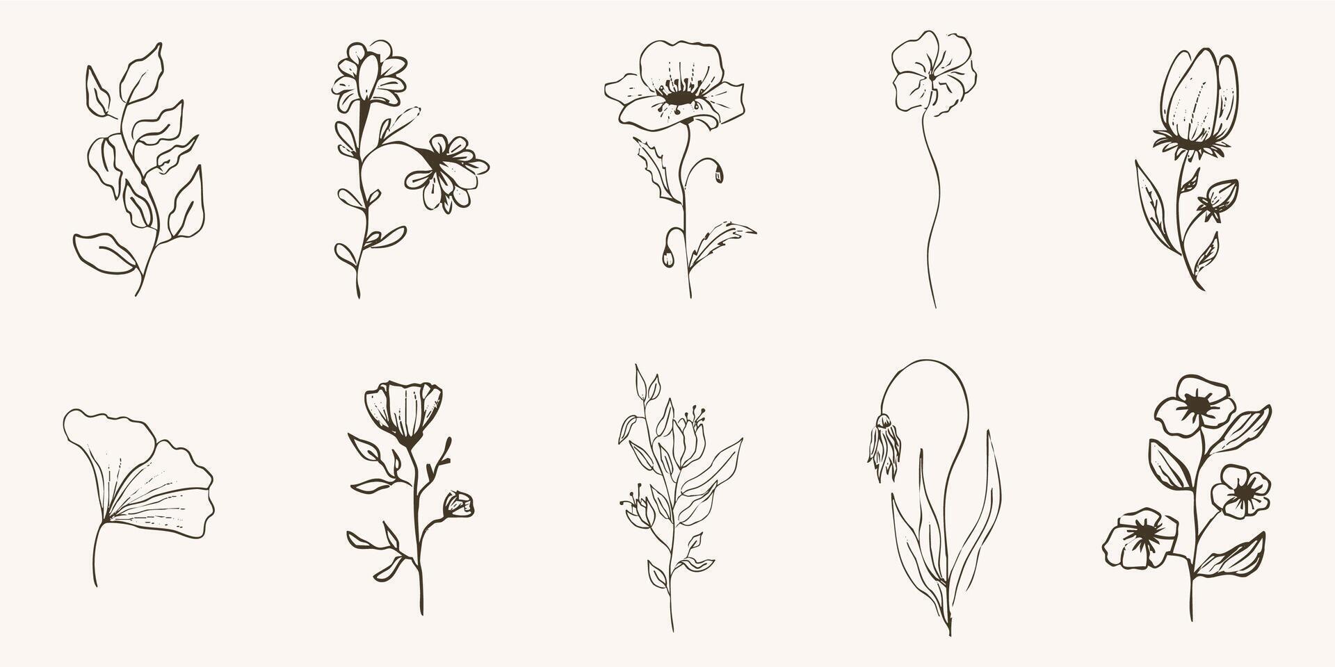 Floral botanical feminine wild flower summer line sketch drawing. Trendy minimal elements wedding herbs, minimalistic flowers with elegant leaves. Tiny tattoo, elegant rustic vector