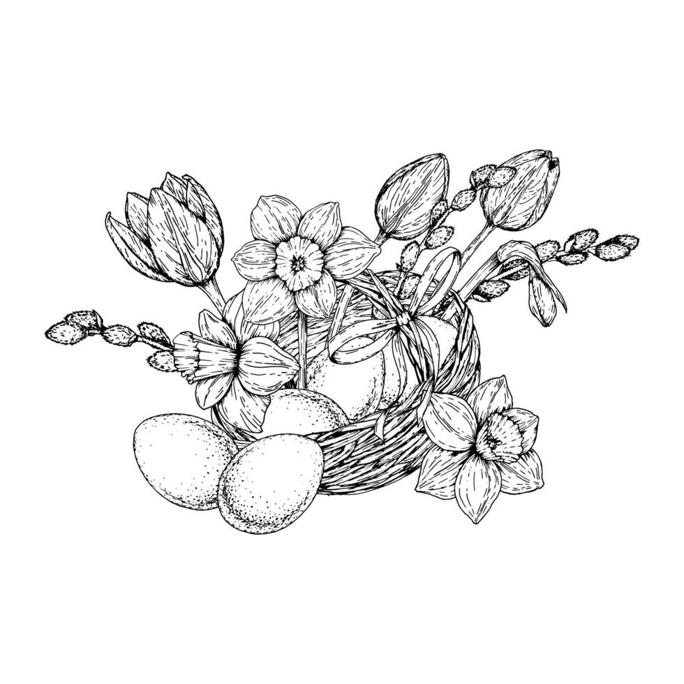 illustration of an Easter basket filled with eggs, narcissus flowers, tulip buds, and willow branches. Hand drawn in black and white ink style, ideal for spring-themed designs and prints. vector
