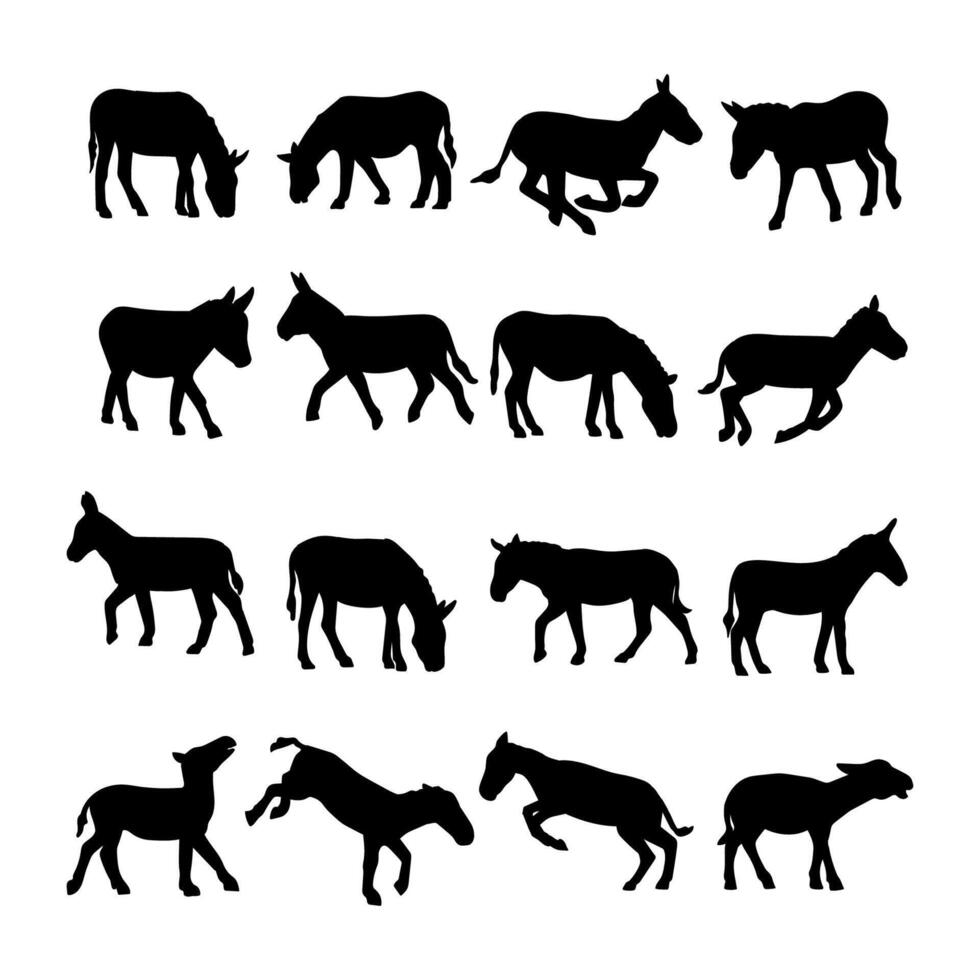 silhouette animal donkey collection o white background vector