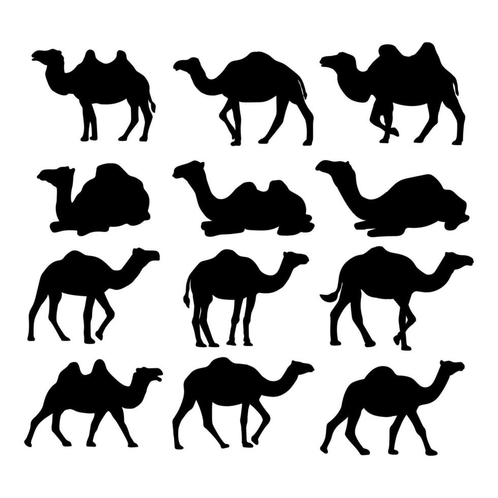 Illustration set animal camel silhouettes vector