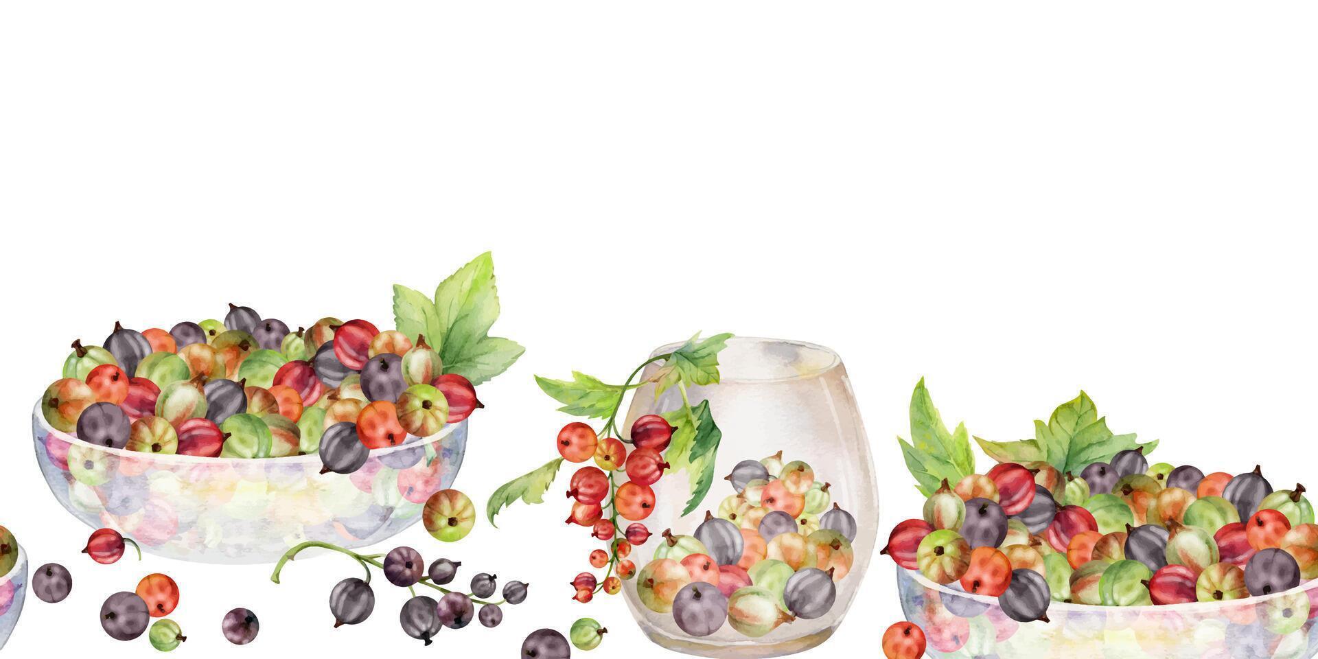 Currant gooseberry with leaves in glass bowls, hand drawn in watercolor, scattered ripe picked berry harvest. Isolated seamless banner. Dessert cafe menu, cookbook, craft farmers market, gardening eco vector