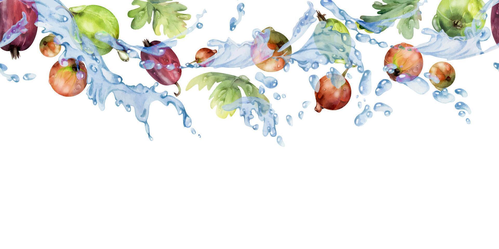 Gooseberry Currant flying with green leaves and dew drops in water splash, ripe summer garden berry hand drawn in watercolor. Isolated seamless banner for home preserves, stationery, menu, recipe book vector