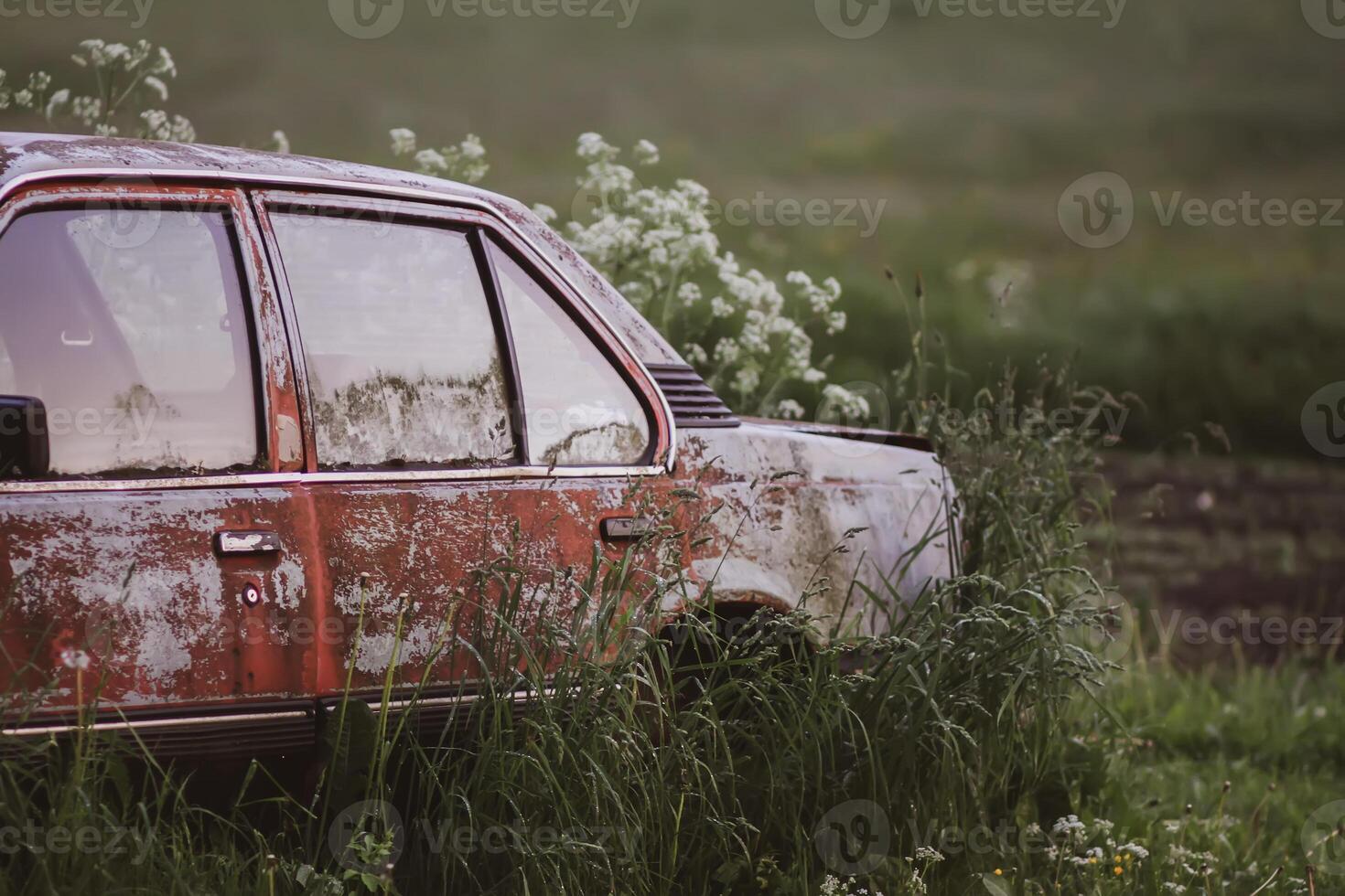 Abandoned od rustic soviet car n ild grass in countryside. photo