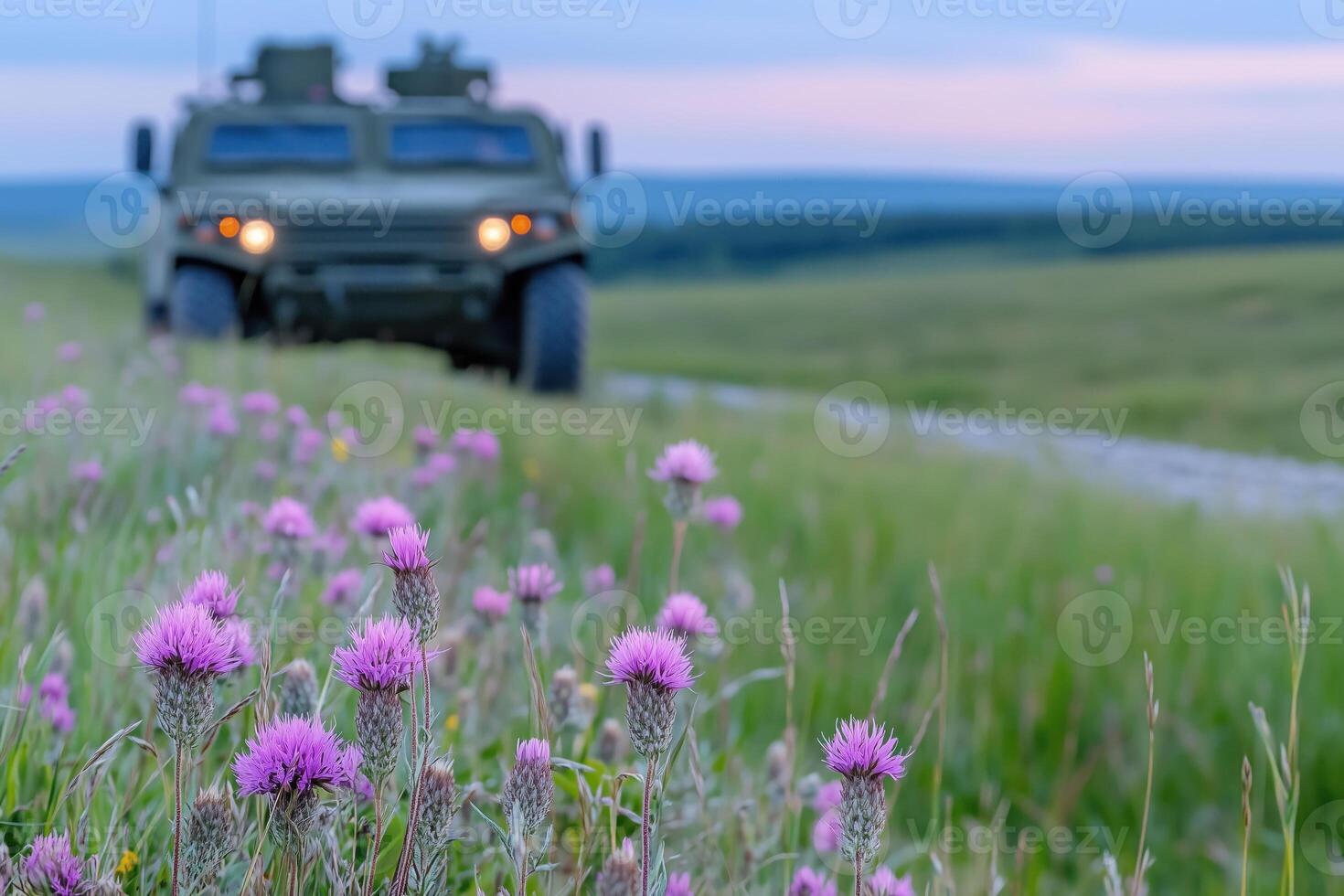 Military protected vehicle on the background of a green steppe with flowers. photo