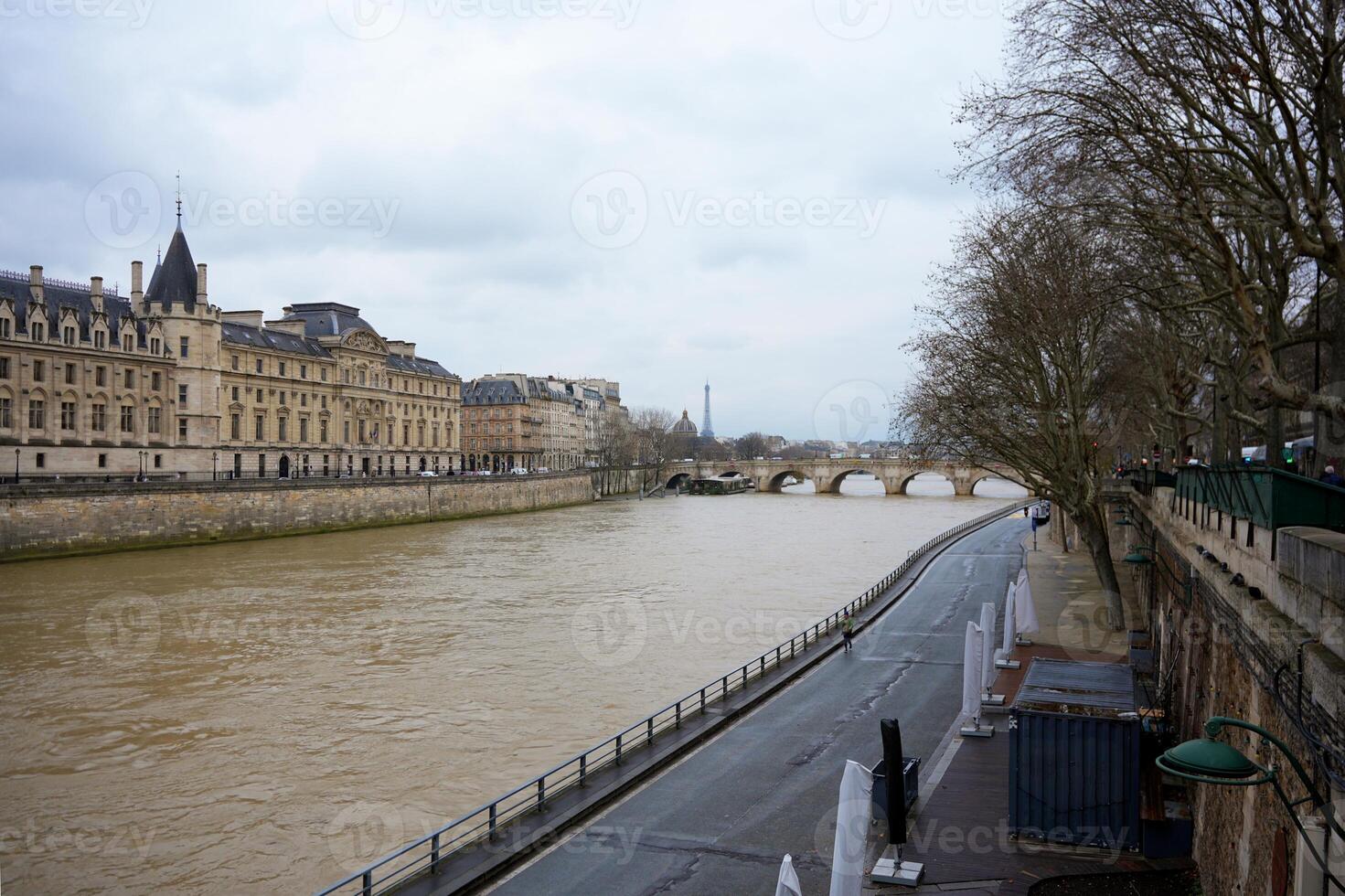 Seine River View with Paris Landmarks and Bridge on a Cloudy Day photo
