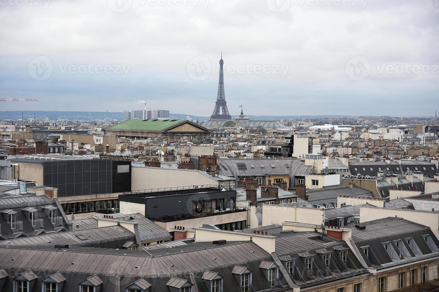 Parisian rooftops with Eiffel Tower and Grand Palais in the distance photo