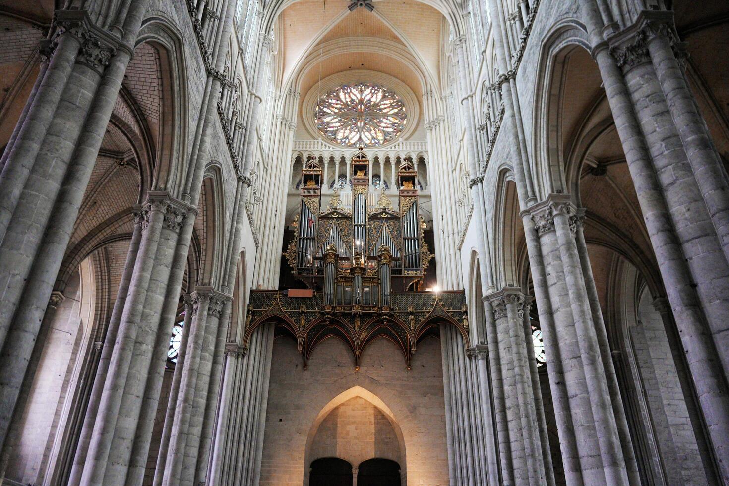 Gothic pipe organ and rose window in Cathedral photo