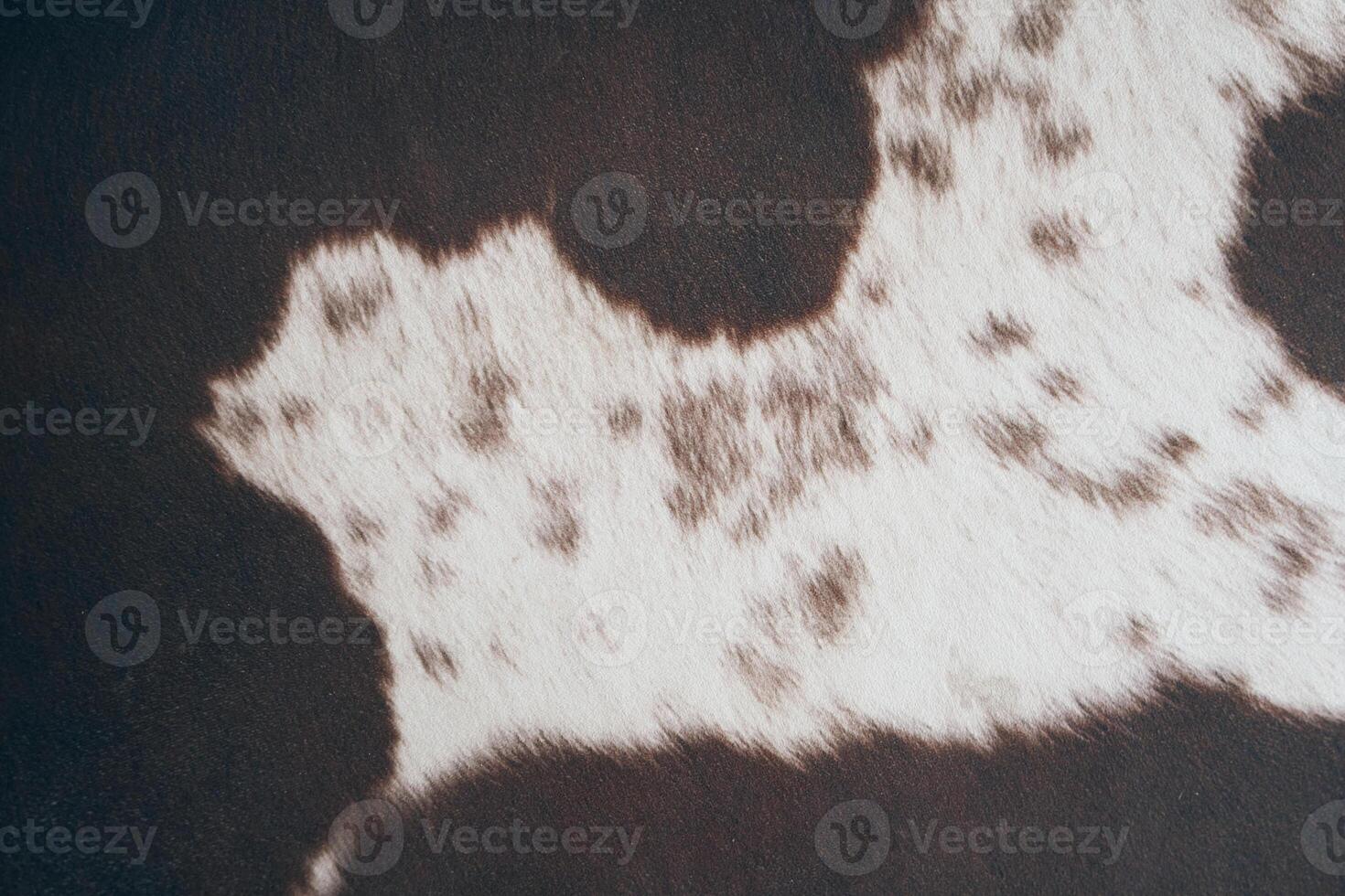 Cowhide leather pattern with a natural print in the form of animal skin spots on a white background. The texture of mammalian fur. Leather design elements. With space to copy photo