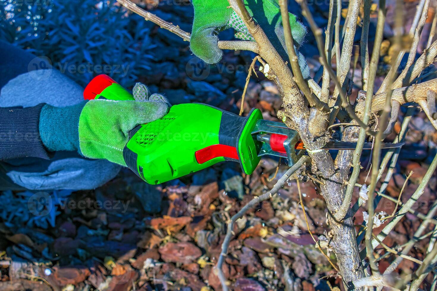 Gardener trimming bush with mini electric saw. Hands in work gloves trim tree branches with hand garden saw and trim trees. photo