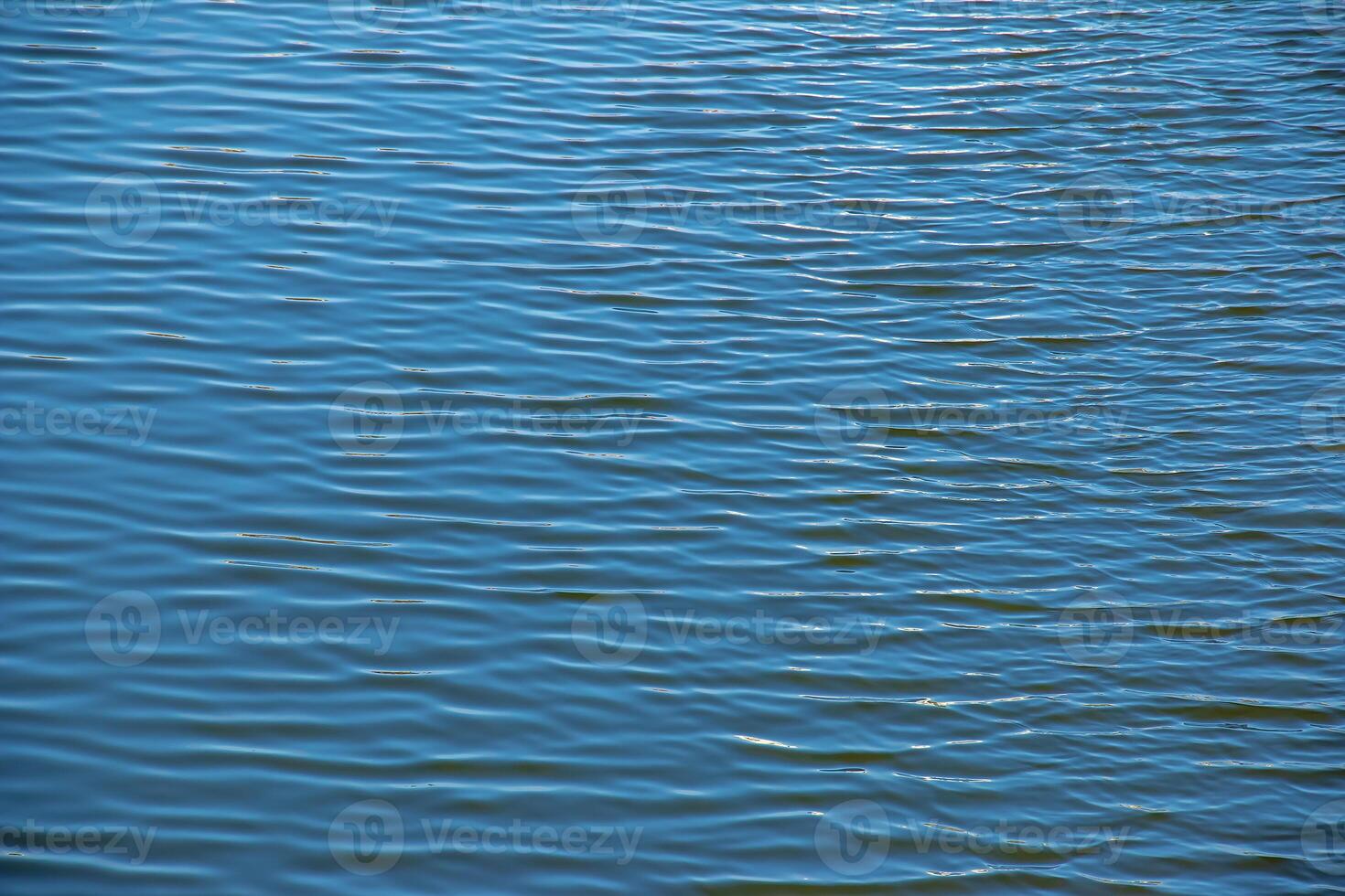 Water, ripple and nature with environment river or ocean with waves, calm and closeup. photo