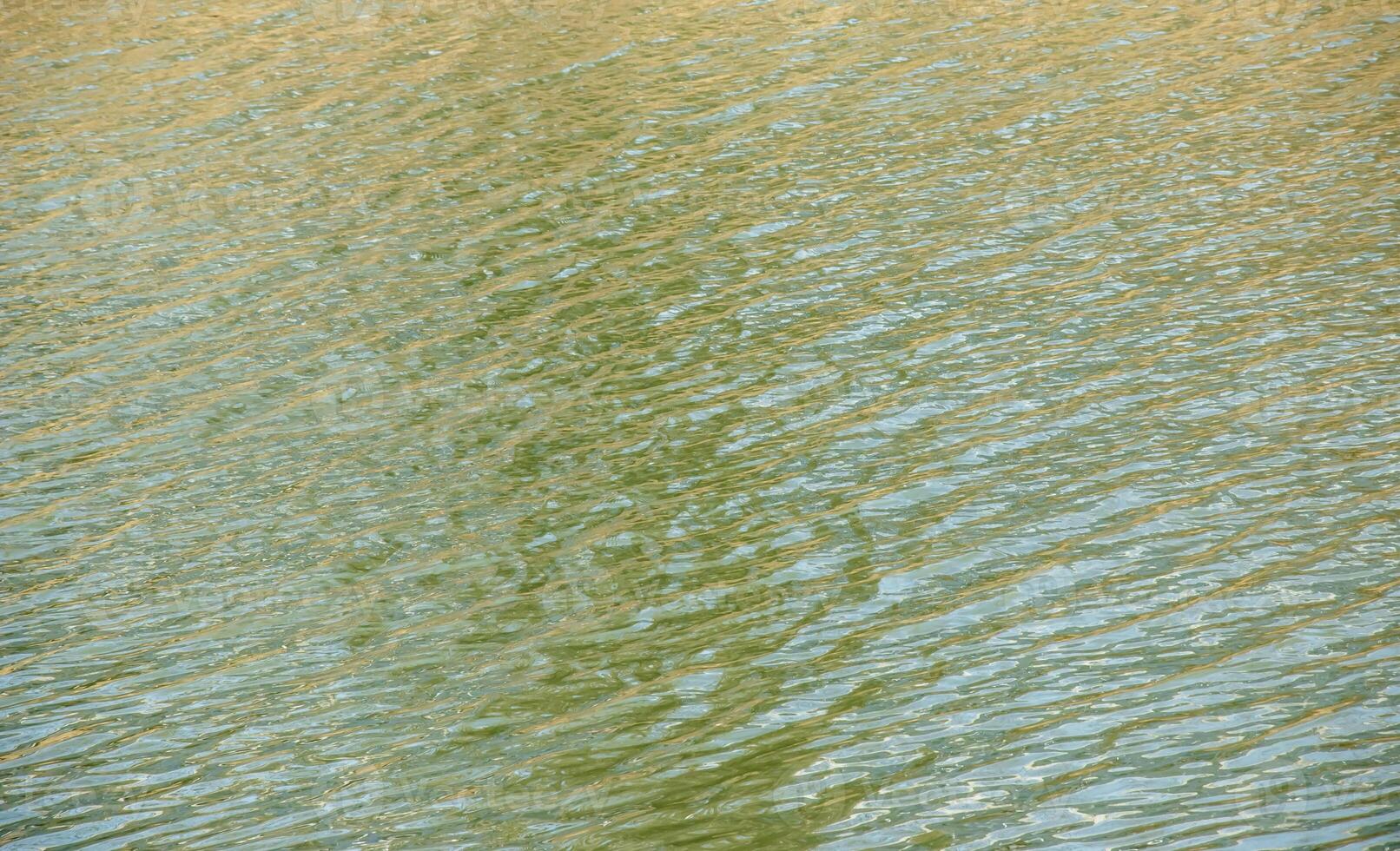 Water surface at sunset, ripples of river with small waves, calm and close-up. Natural background. Abstract background, texture. photo