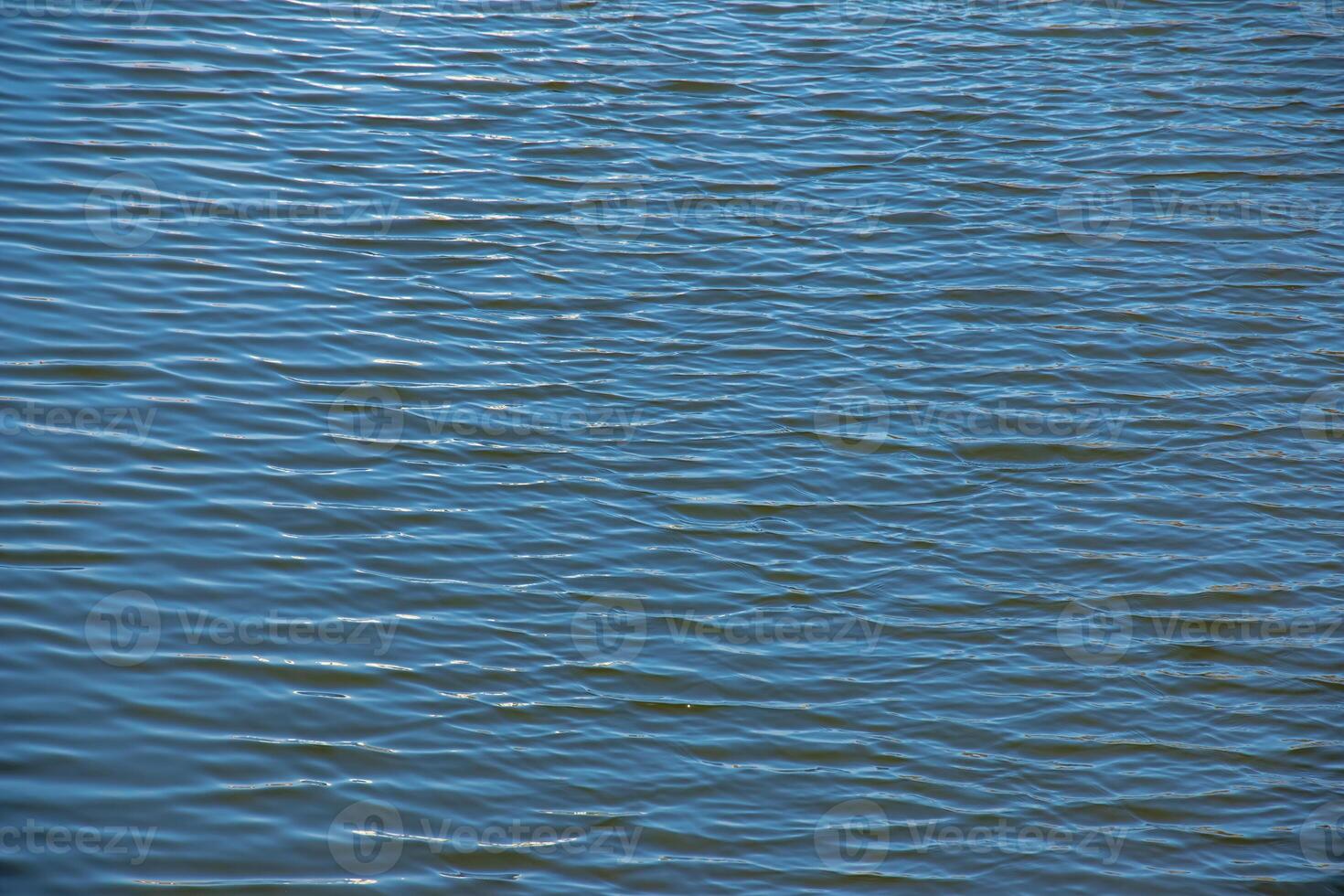 Water, ripple and nature with environment lake, river with waves, calm and closeup. photo