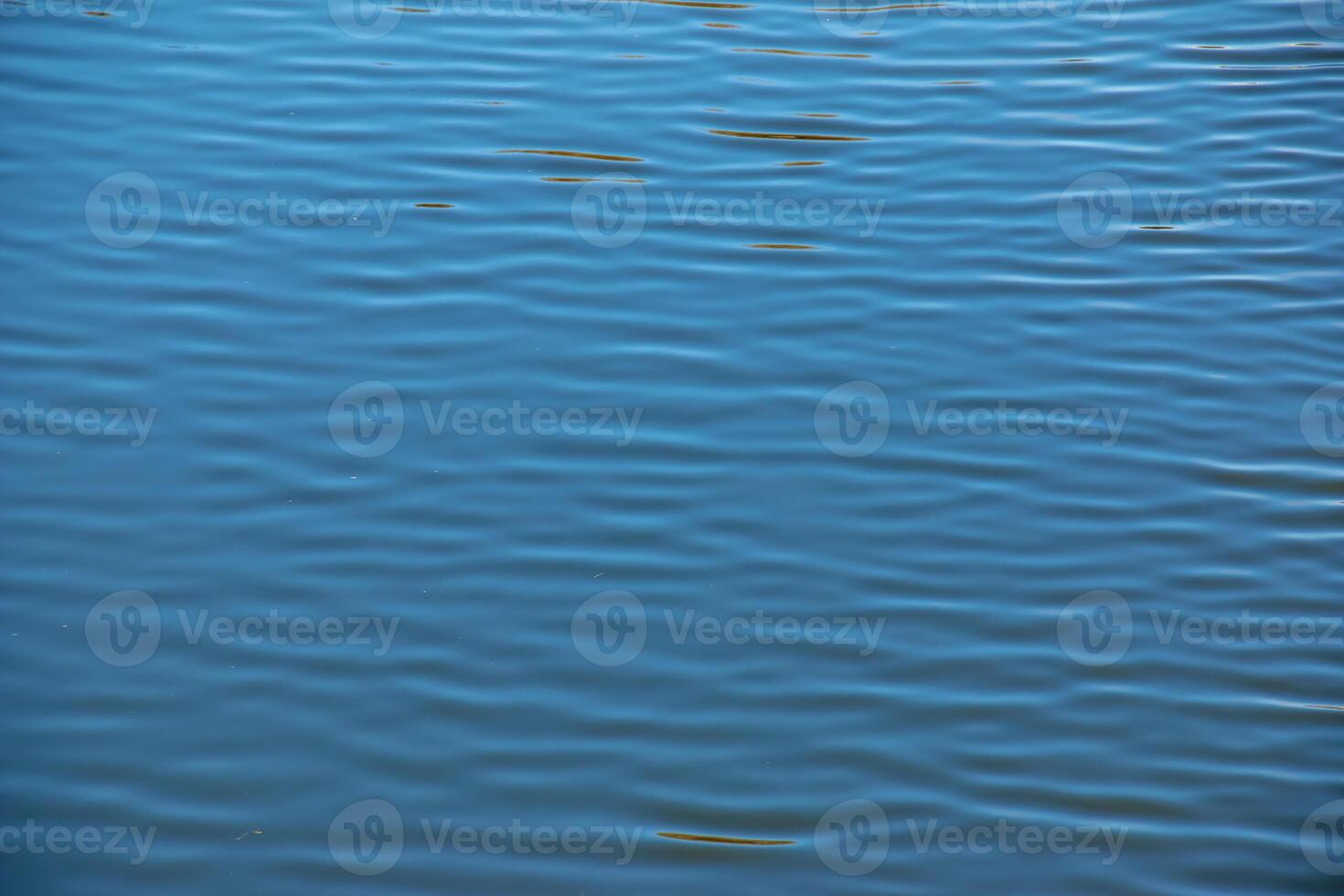 Water, ripple and nature with environment river with waves, calm and closeup. photo