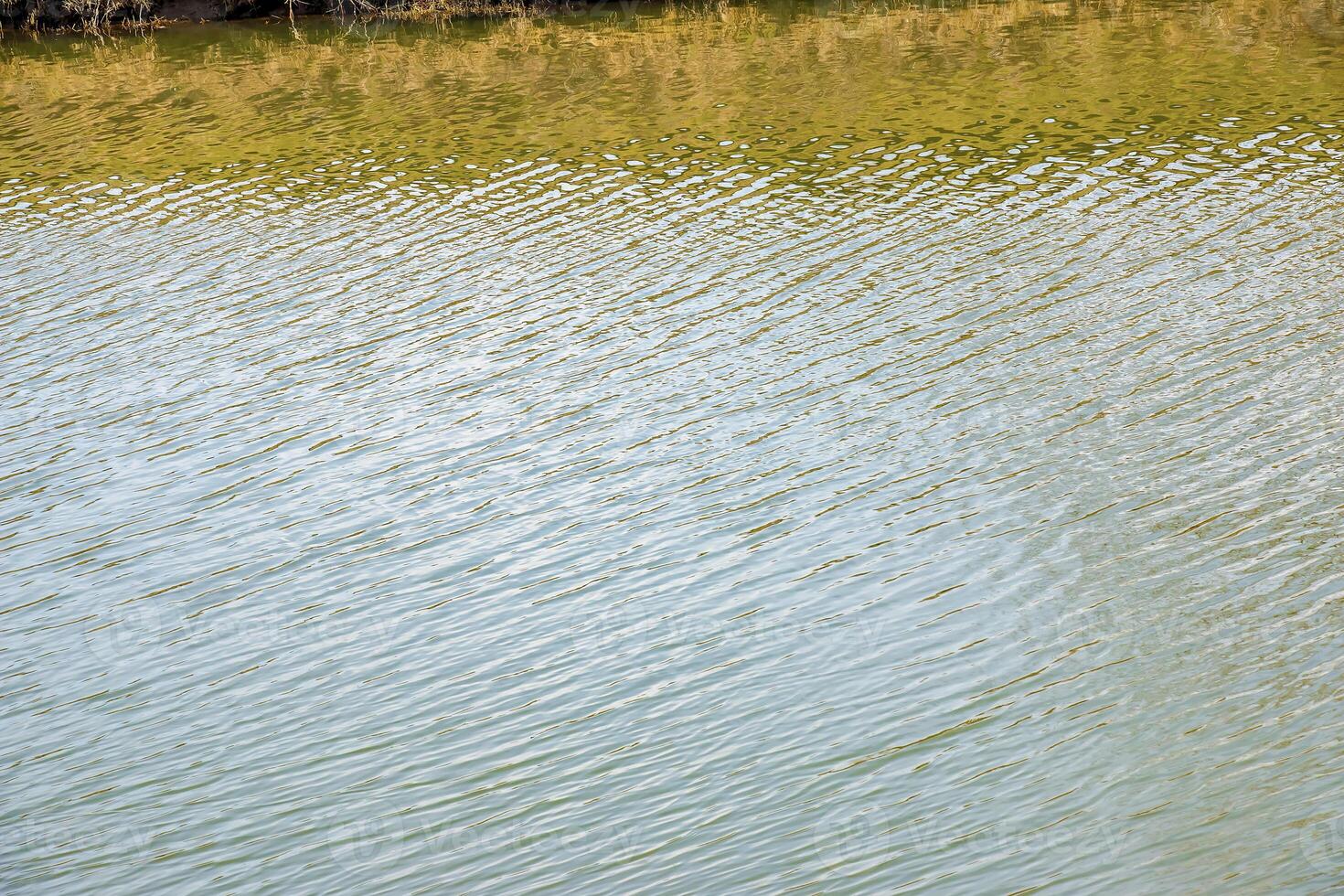 Water surface at sunset, ripples of river or ocean with small waves, calm and close-up. Natural background. Abstract background. photo