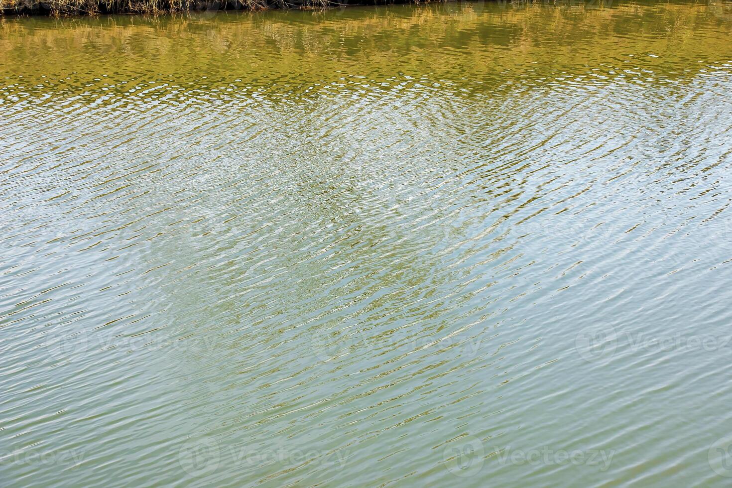 Water surface at sunset, ripples of river or ocean, calm and close-up. Natural background. Abstract background, texture. photo