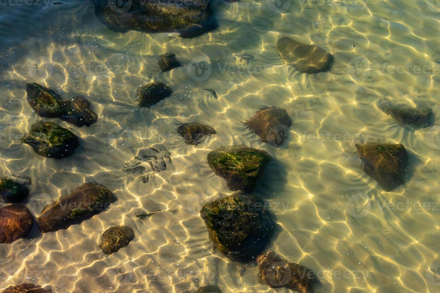 stones at the bottom of the Baltic Sea horizontal photo