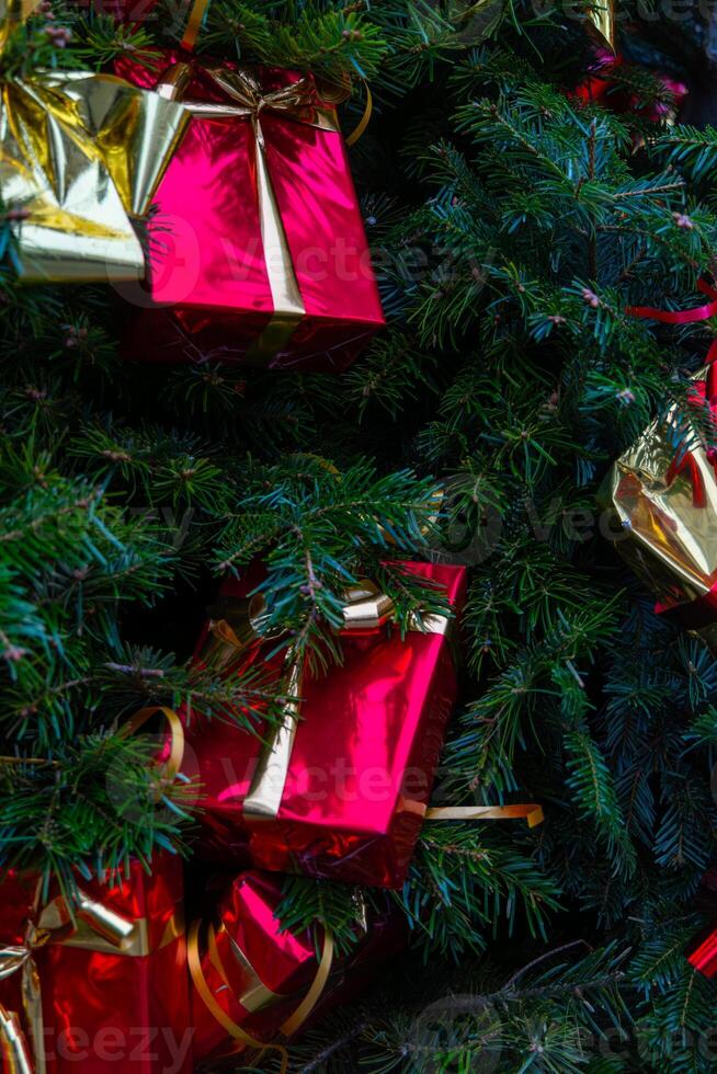 A tree with red boxes on it photo