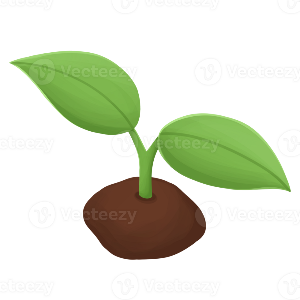 Seedling with soil cartoon isometric png