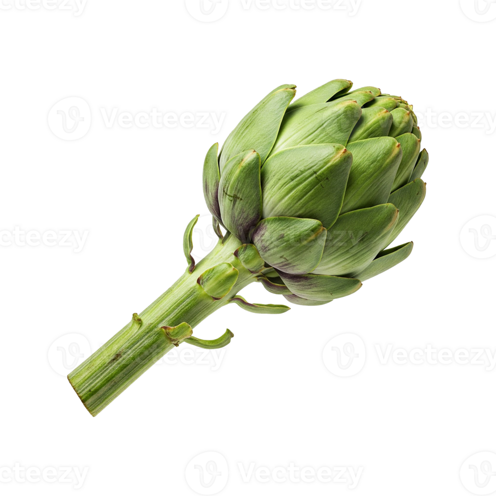 Green artichoke levitating on transparent background. Fresh and appetizing, ideal for culinary projects and healthy food advertising. For balanced diet and natural lifestyle. png