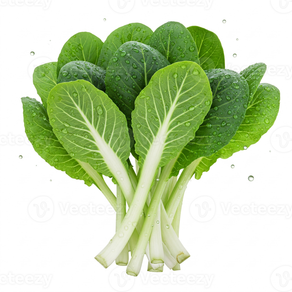 Fresh green Swiss chard or Mangold with water droplets on transparent background. Ideal for culinary projects and healthy food advertising. For balanced diet and natural lifestyle. png