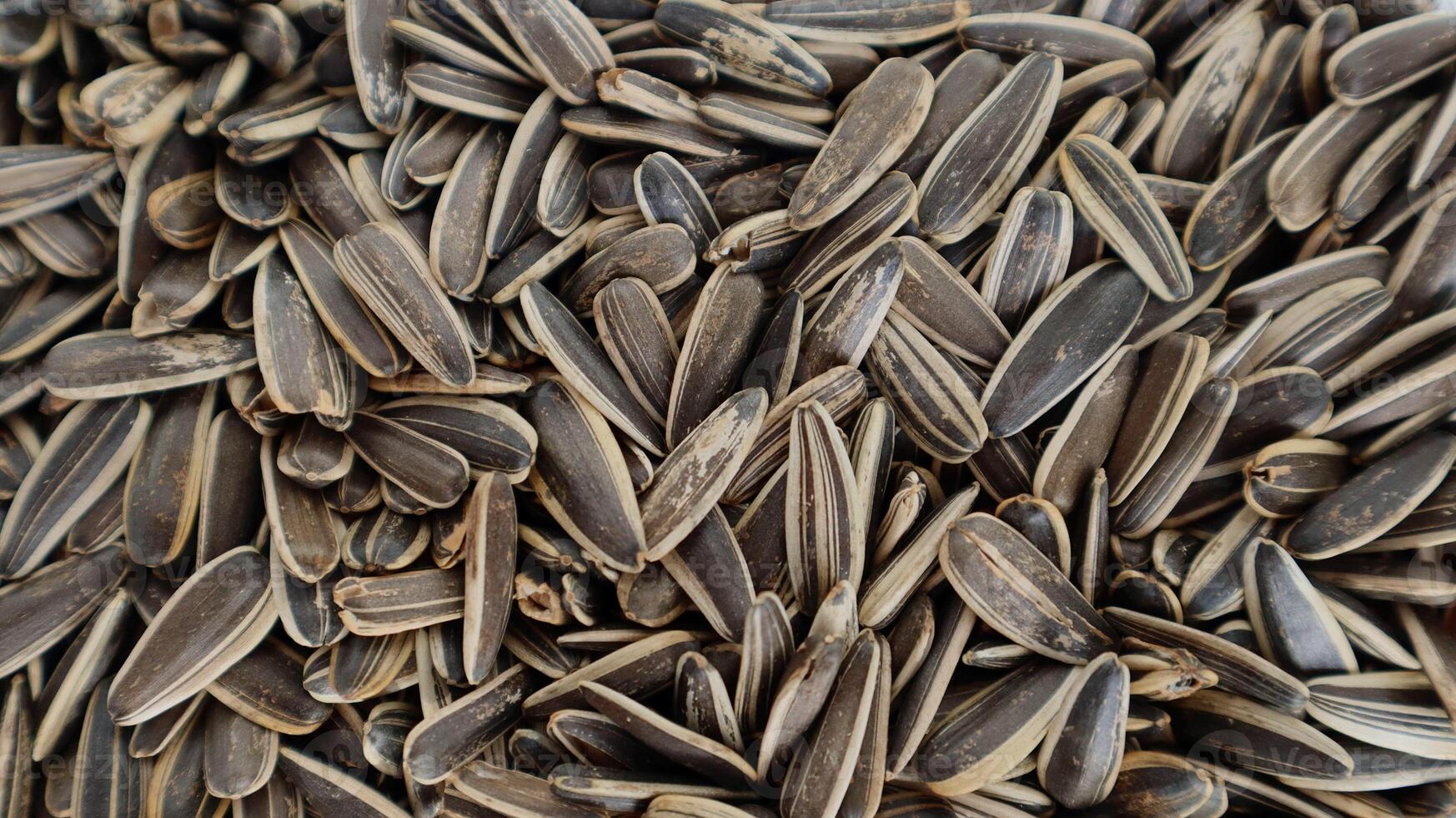 Raw sunflower seeds close-up. A detailed close-up of raw, unpeeled sunflower seeds. The image shows a textured surface and natural pattern, ideal for illustrating healthy snacks, seeds. photo