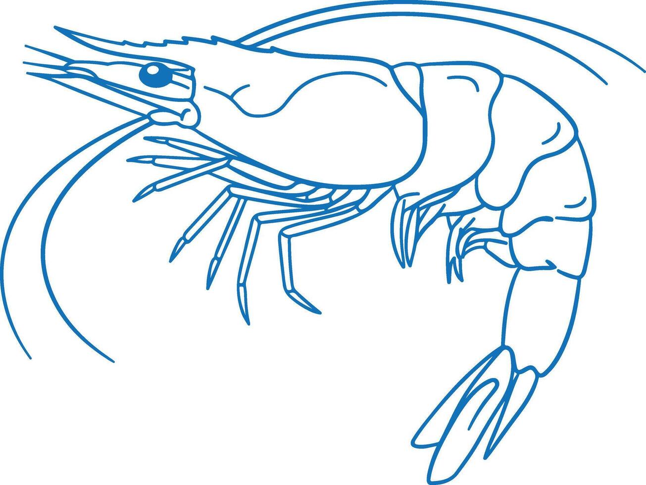 Minimalist Shrimp Illustration with Clean Lines and Modern Design, vector