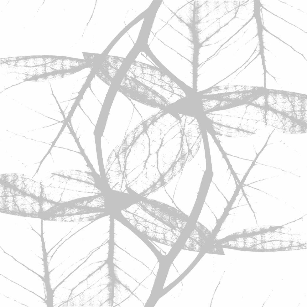 A black and white photo of leaves on a white background vector