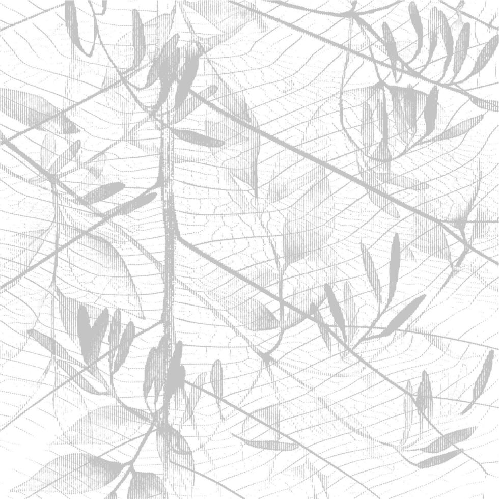 A black and white drawing of leaves on a white background vector