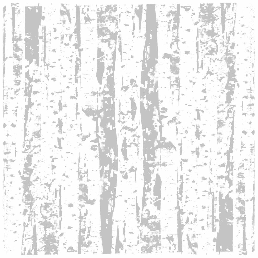 A white and gray background with a pattern of birch trees vector