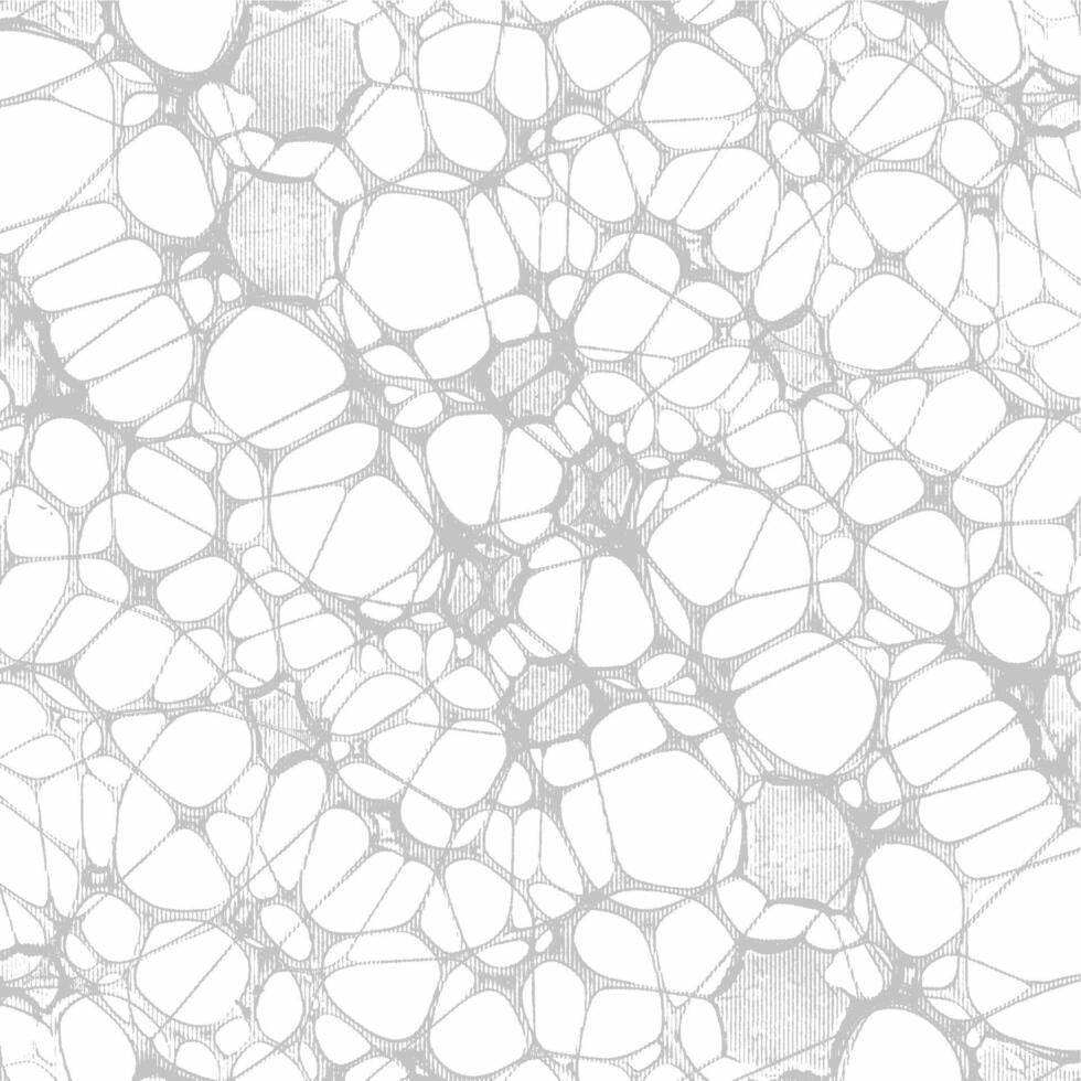 A white and gray pattern of small stones vector