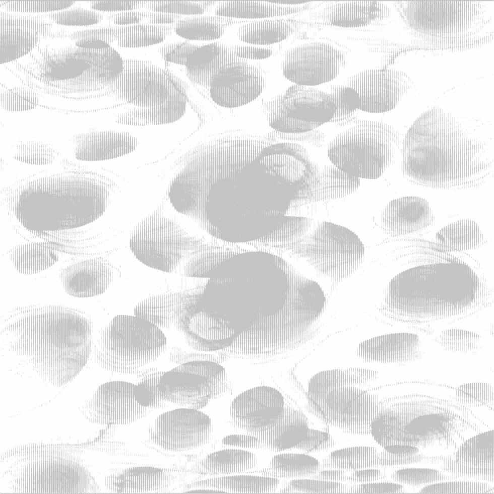 A white and gray background with many circles vector