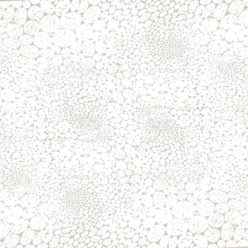 A white and gray background with small dots vector