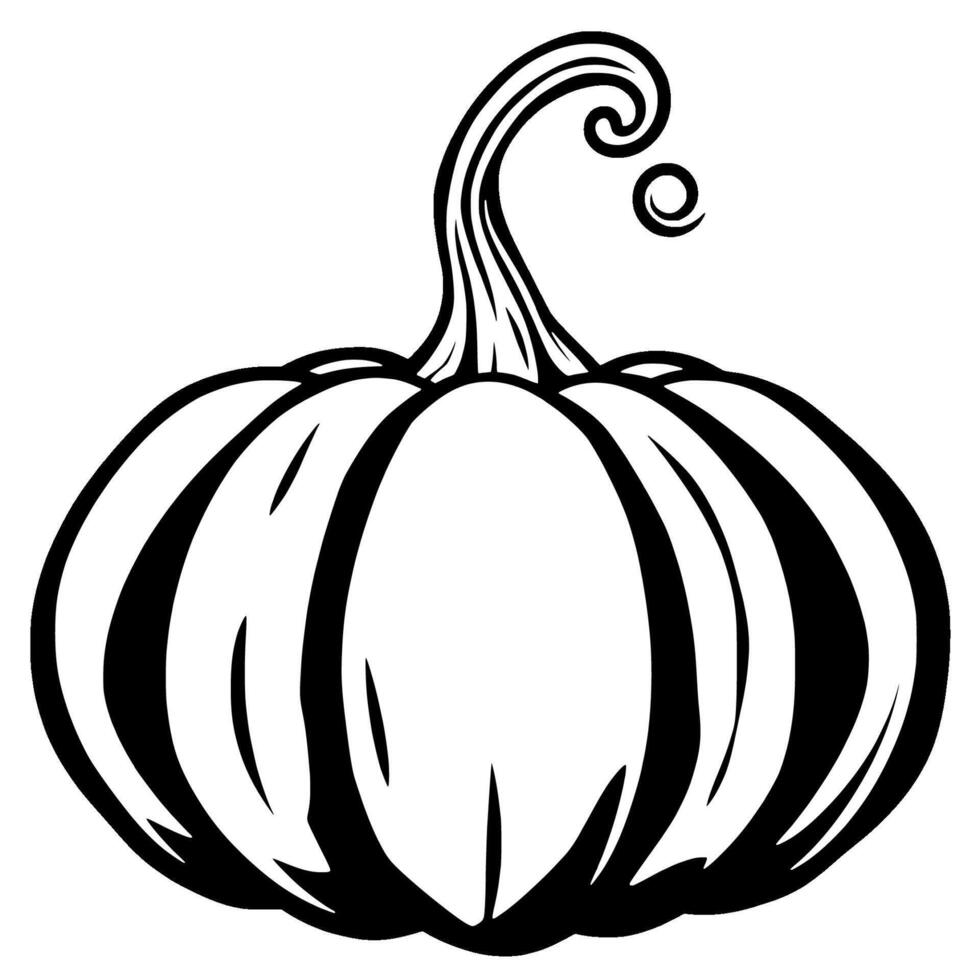Elegant Black And White Illustration Of A Pumpkin vector