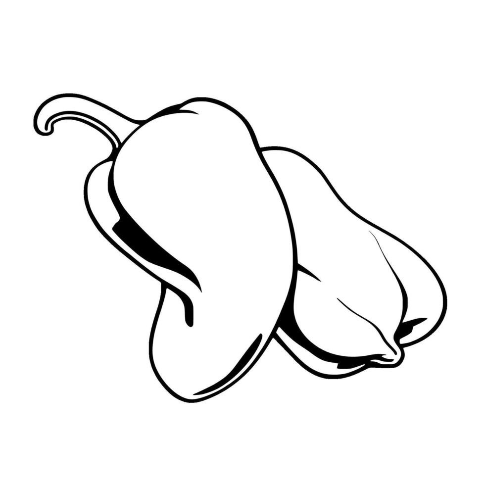 Two Glossy Red Bell Peppers Fresh Harvest Illustration vector