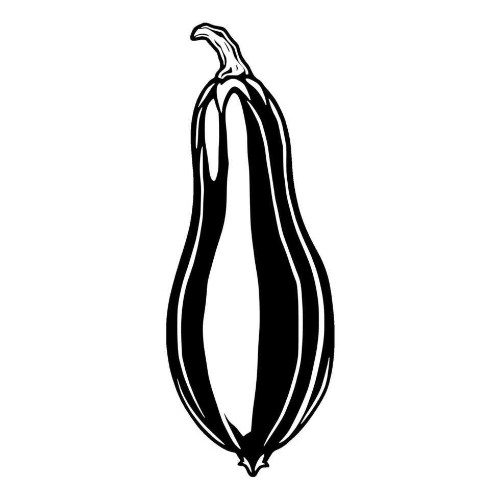 Black And White Illustration Of A Single Zucchini vector