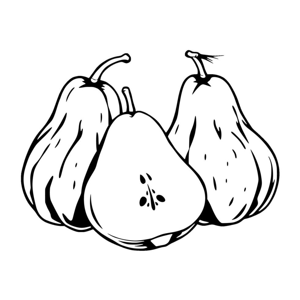 Three Pears A Simple Line Drawing Of Juicy Fruit vector