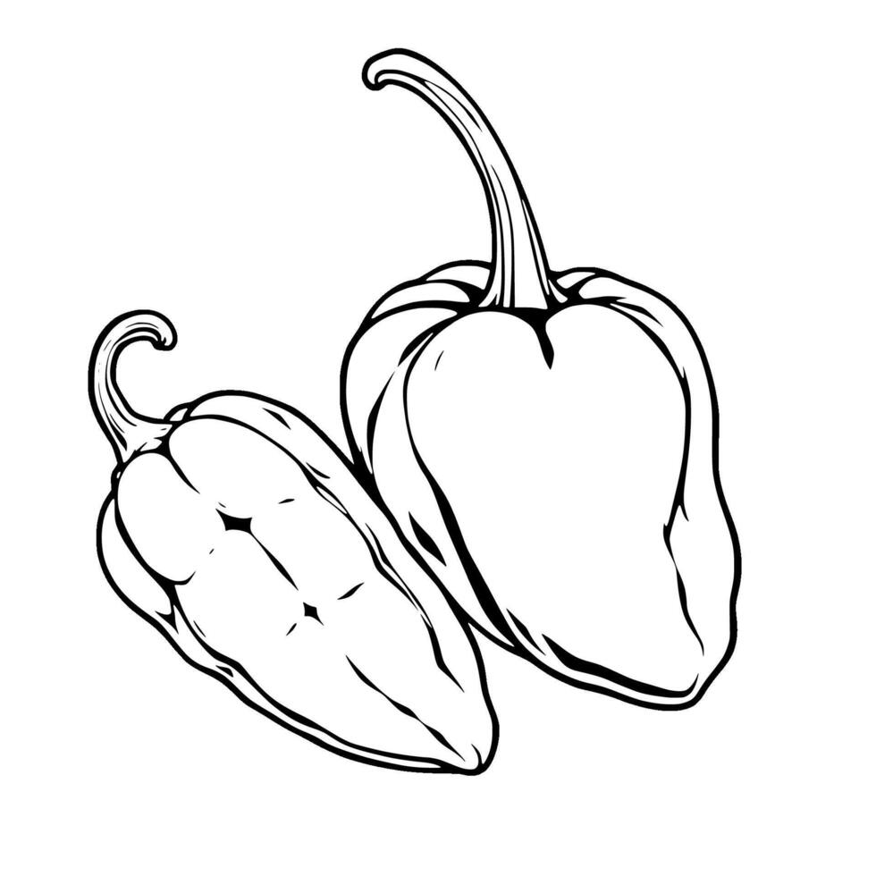 Line Art Drawing Of Two Bell Peppers One Halved vector