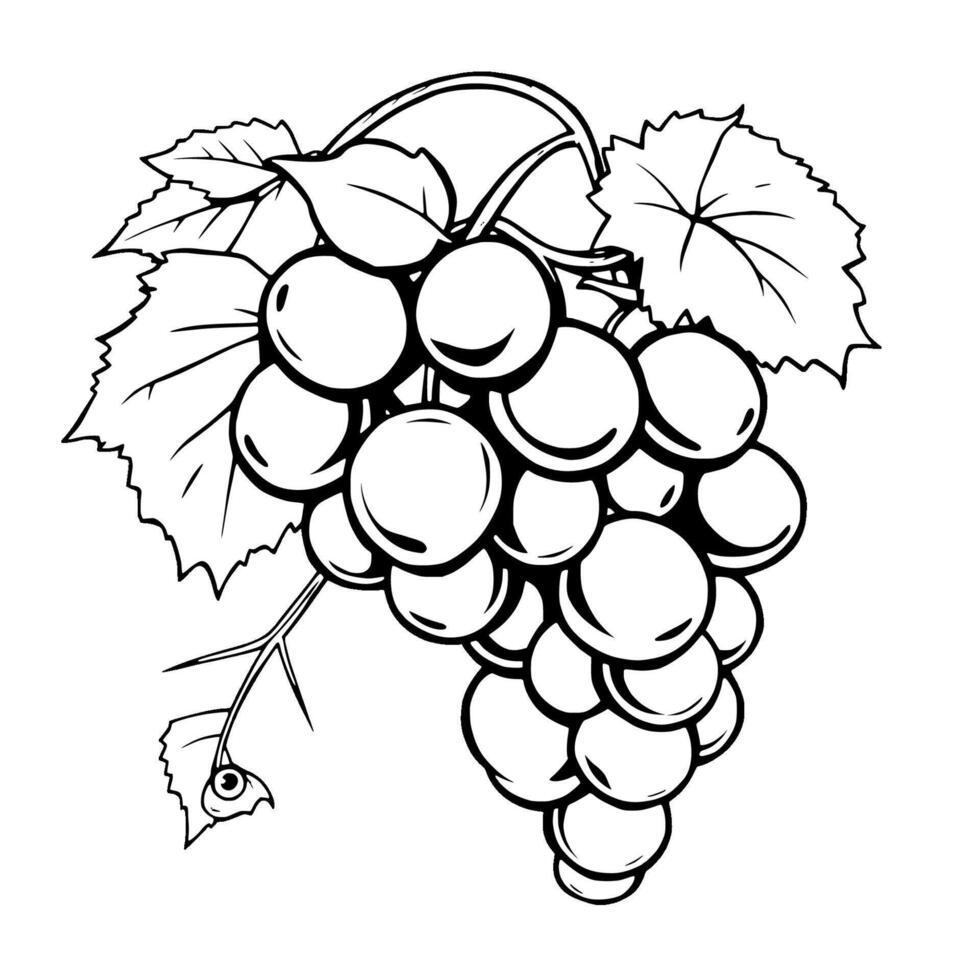 A Single Bunch Of Grapes With Leaves Line Art vector